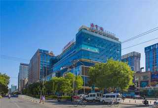 浙江大型园林工具电机供货商