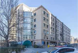 广西姜黄提取生产线设备厂家